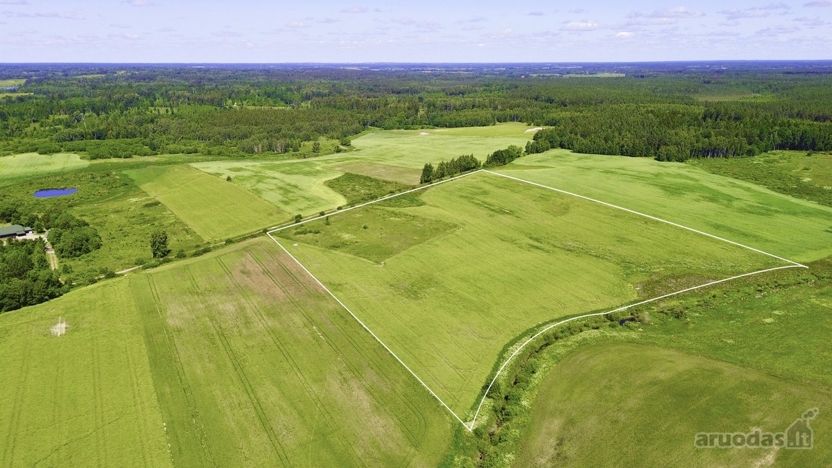 Parduodamas didelis 7,7439 ha žemės ūkio - nuotraukos Nr. 5