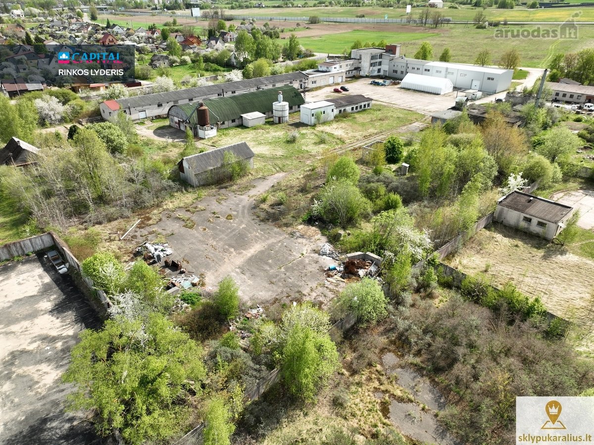 Vievyje parduodama 1,118 ha dalis iš 2,89 ha - nuotraukos Nr. 12