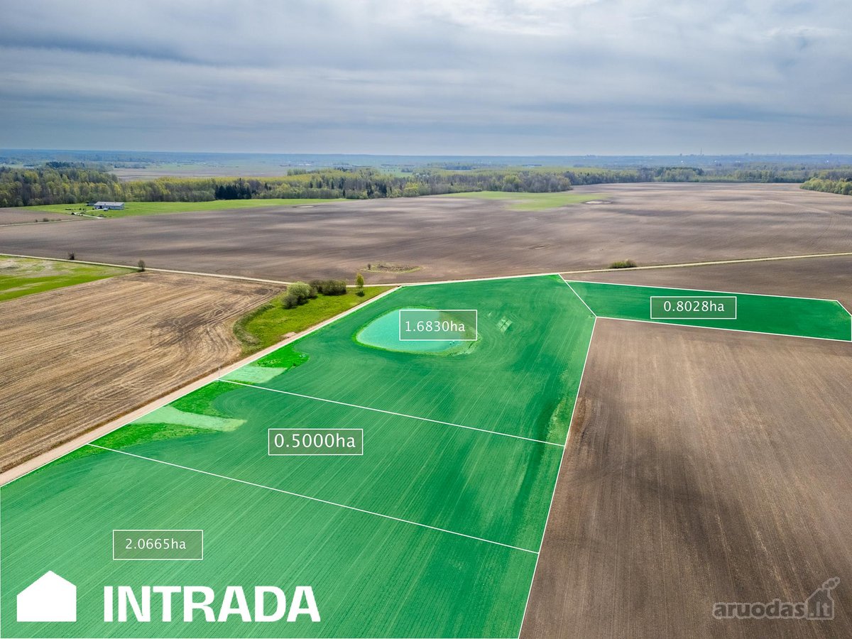 Investicinis Sklypų Masyvas Pakamoriuose – - nuotraukos Nr. 2
