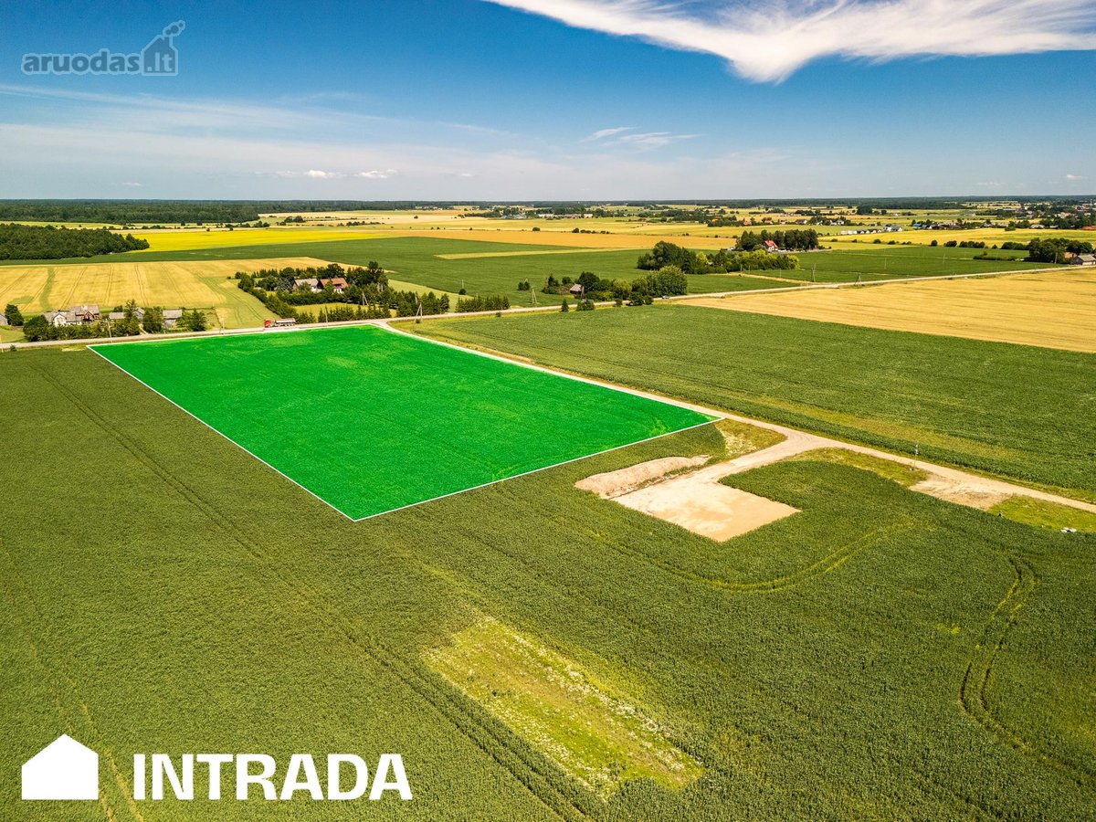 Investicinis Sklypų Masyvas Pakamoriuose – - nuotraukos Nr. 10