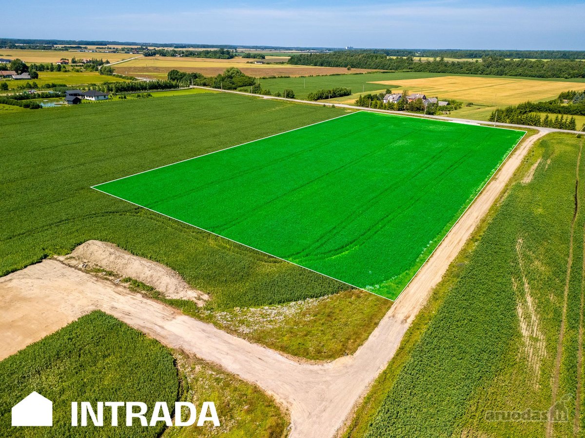 Investicinis Sklypų Masyvas Pakamoriuose – - nuotraukos Nr. 18