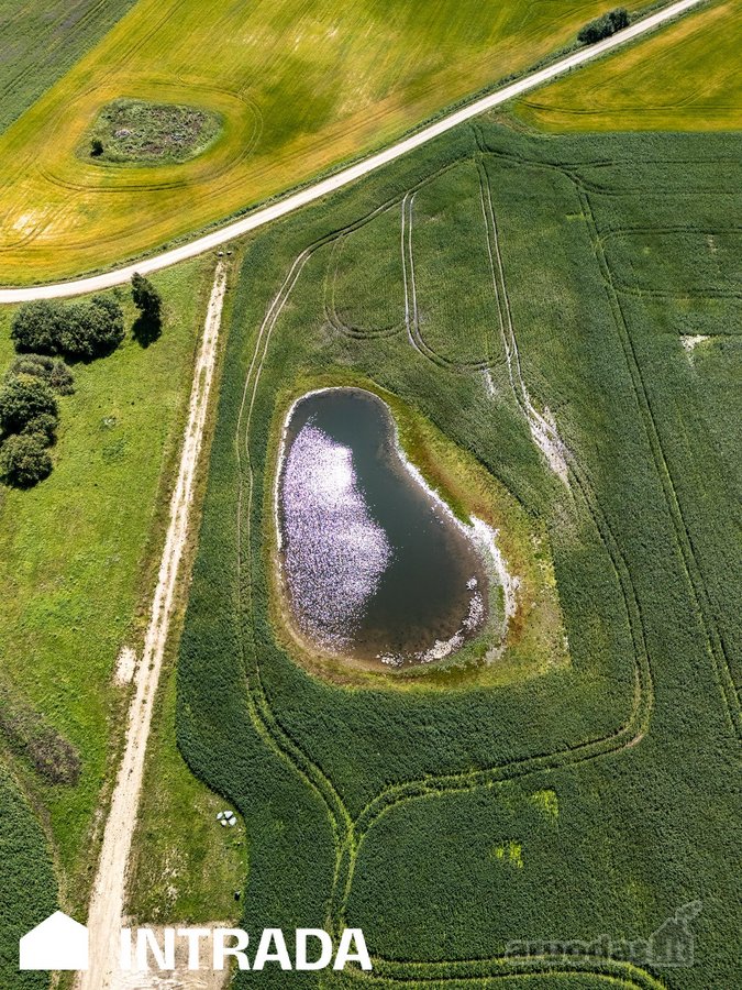 Investicinis Sklypų Masyvas Pakamoriuose – - nuotraukos Nr. 21