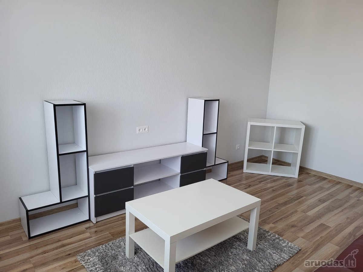 Išnuomojamas 2 kambarių butas, renuovuotame - nuotraukos Nr. 3