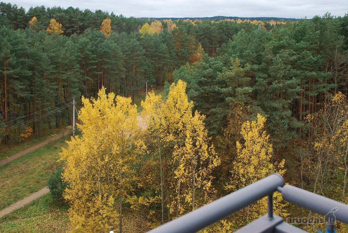 Jonažolių g. 9, Lazdynėliuose, nuomojamas - nuotraukos Nr. 13