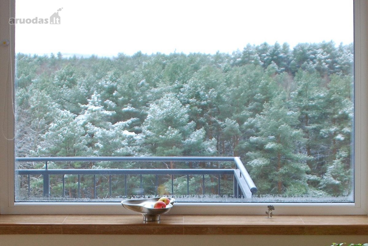 Jonažolių g. 9, Lazdynėliuose, nuomojamas - nuotraukos Nr. 14