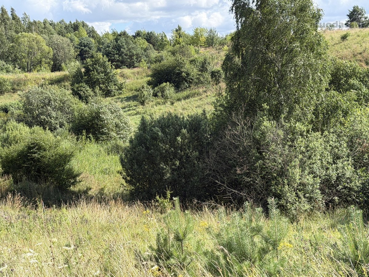 Parduodami 3 Namų Valdos Sklypai Dėdeliškių K - nuotraukos Nr. 16