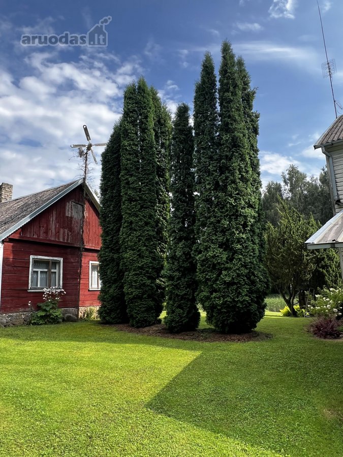 Parduodama išskirtinė sodyba Biržų r., Aleknų - nuotraukos Nr. 16