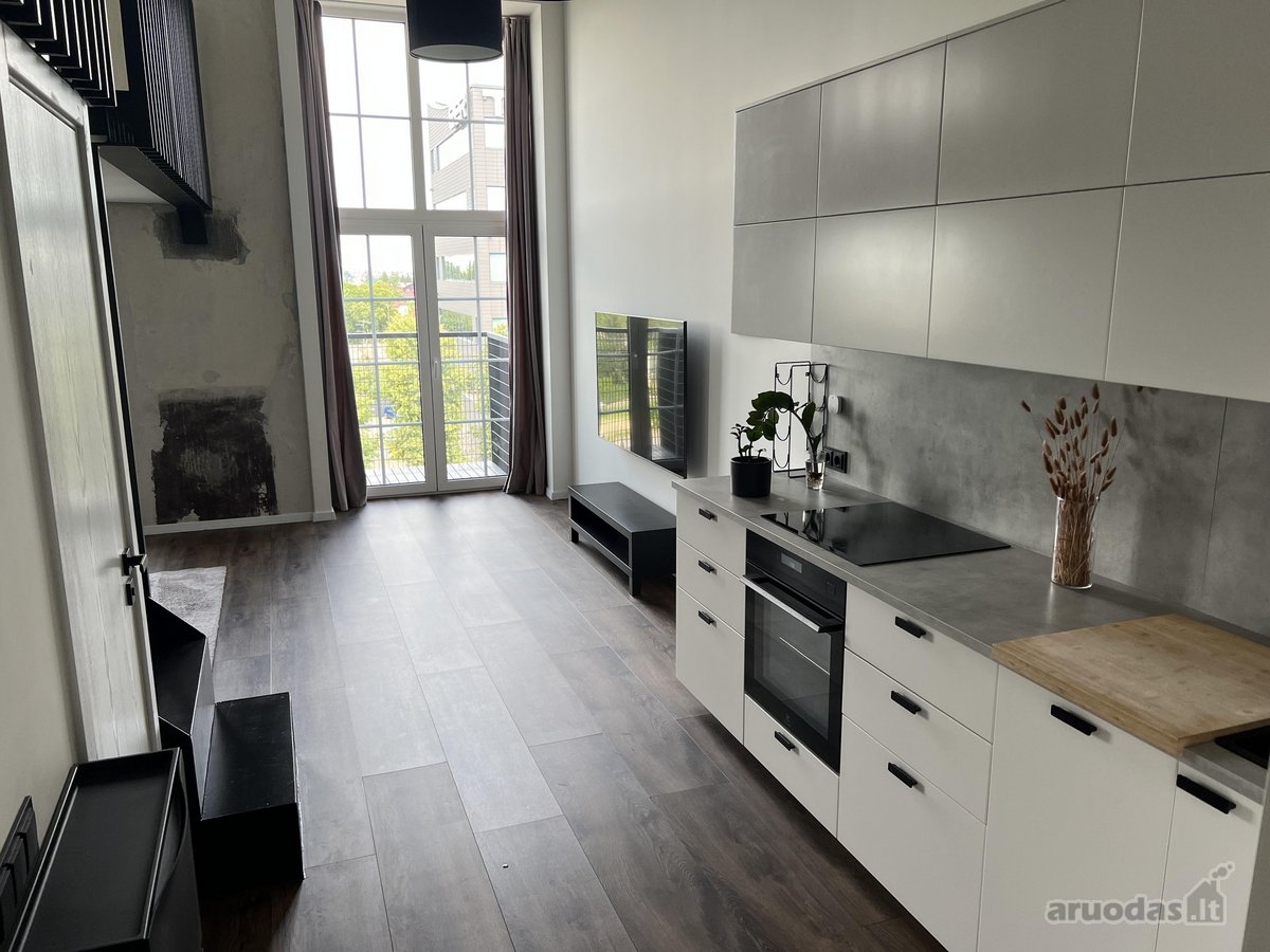 Išskirtinis 53 m² loftas „Radio City“ - nuotraukos Nr. 6