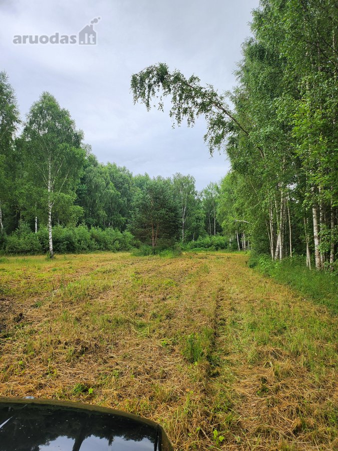 Be tarpininkų parduodami besiribojantys - nuotraukos Nr. 3