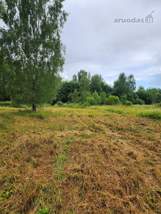 Be tarpininkų parduodami besiribojantys - nuotraukos Nr. 4