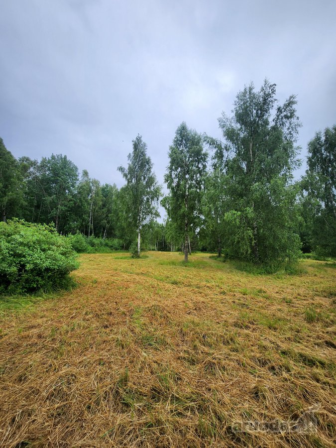 Be tarpininkų parduodami besiribojantys - nuotraukos Nr. 5