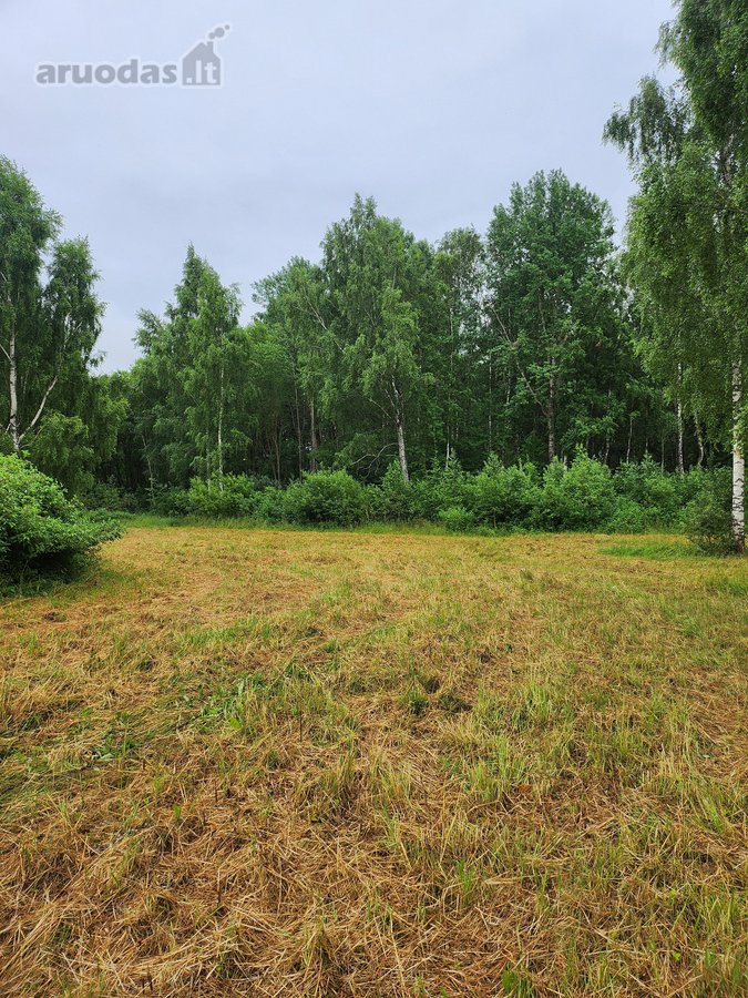 Be tarpininkų parduodami besiribojantys - nuotraukos Nr. 7