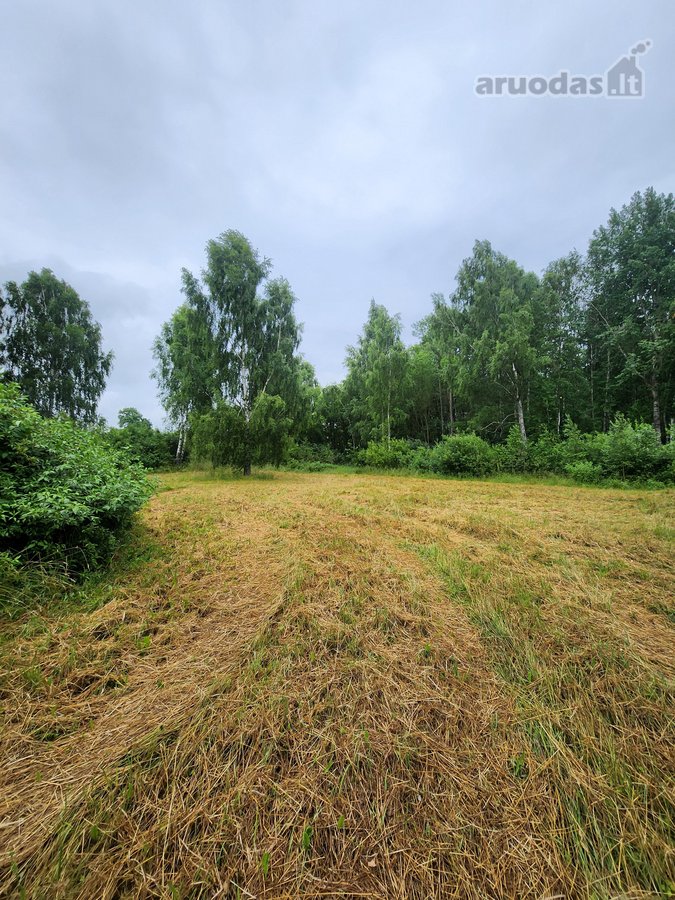 Be tarpininkų parduodami besiribojantys - nuotraukos Nr. 8