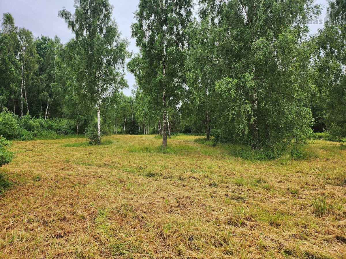 Be tarpininkų parduodami besiribojantys - nuotraukos Nr. 9