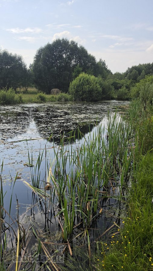 Parduodama Jauki Sodyba Ukmergės Rajone - nuotraukos Nr. 18
