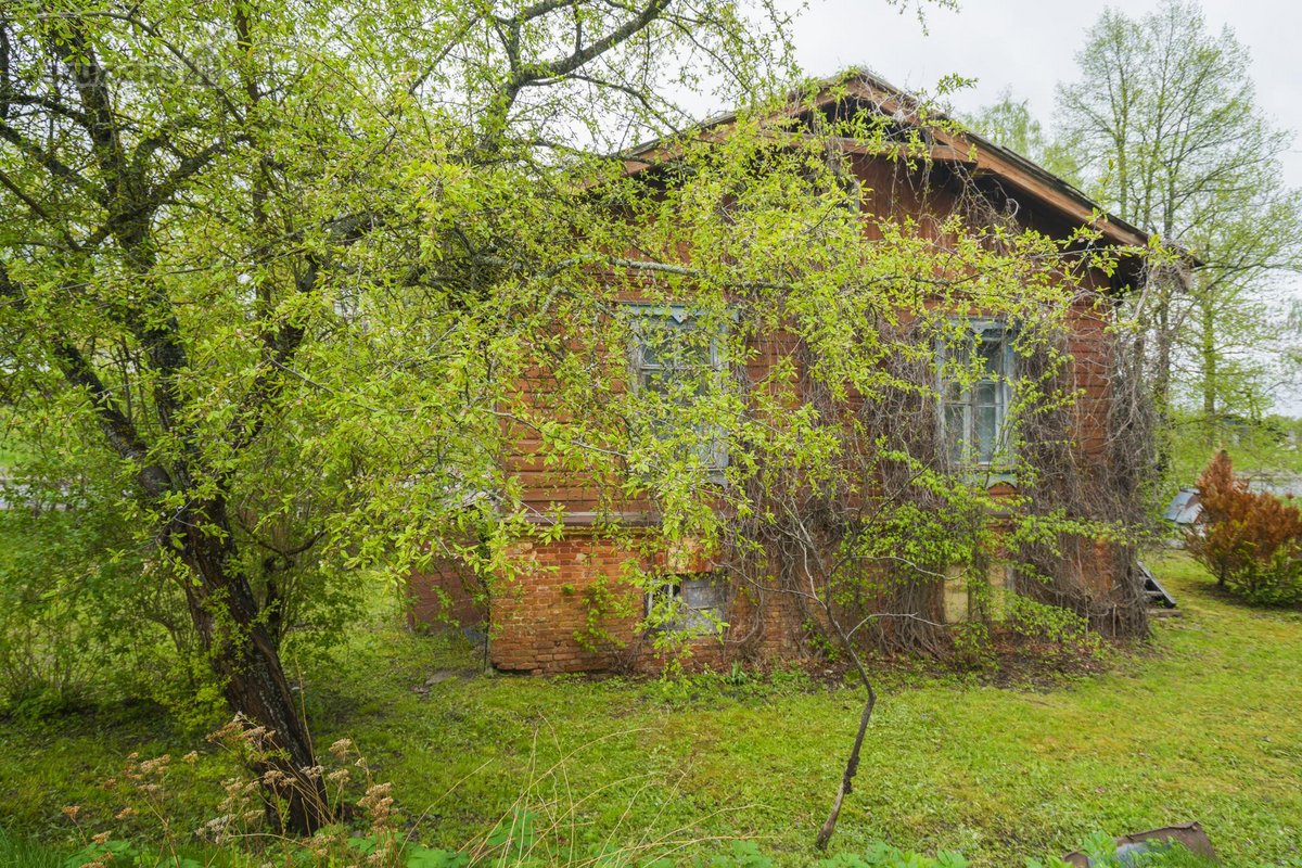 Parduodamas išskirtinės ir itin retos - nuotraukos Nr. 7