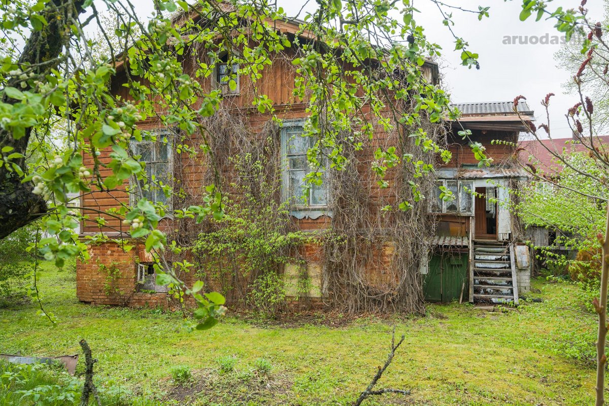 Parduodamas išskirtinės ir itin retos - nuotraukos Nr. 6
