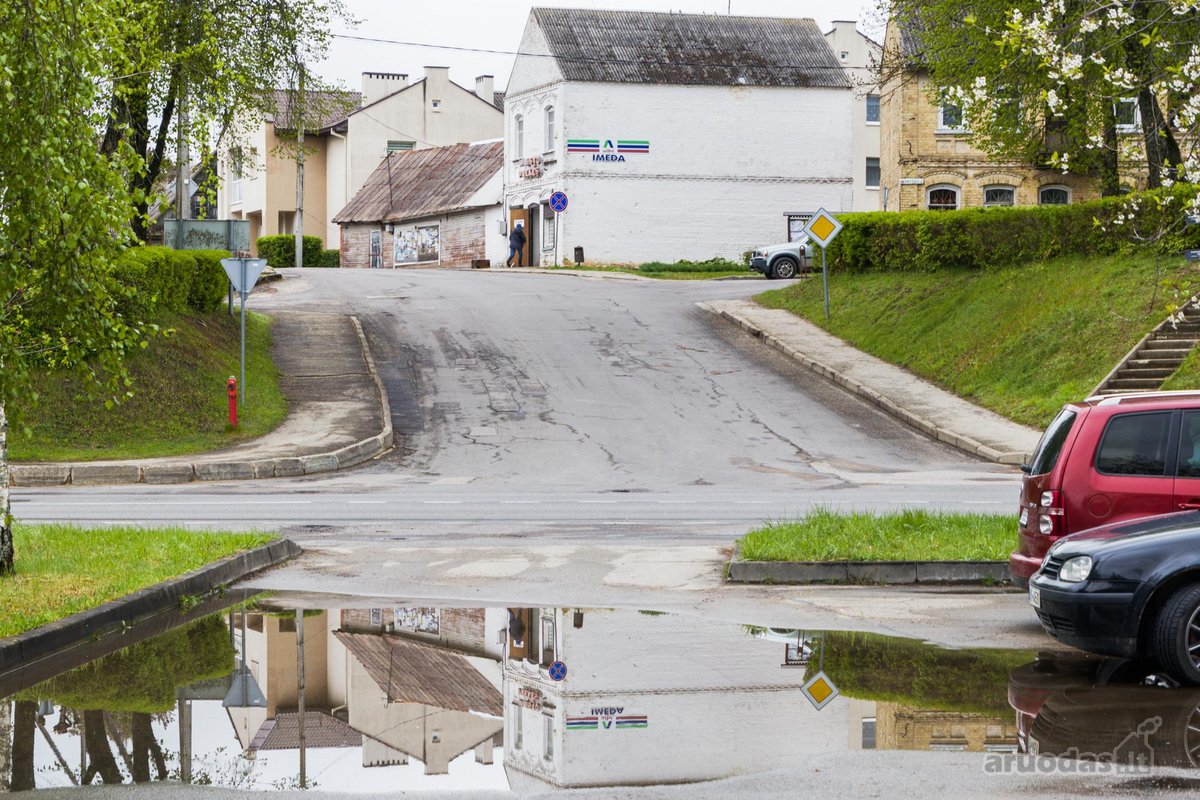 Parduodamas išskirtinės ir itin retos - nuotraukos Nr. 14