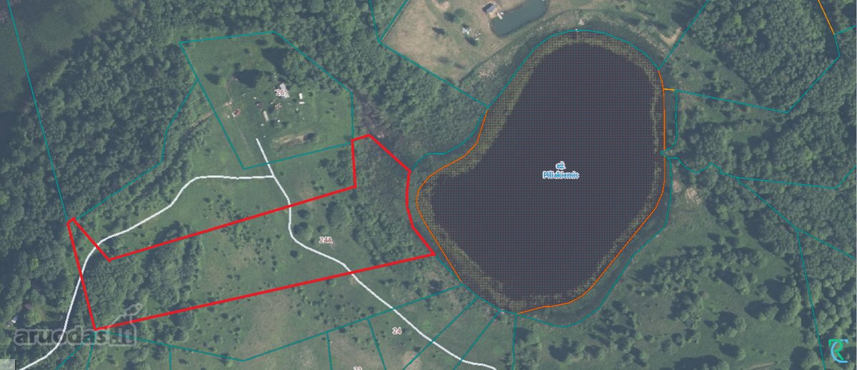 Parduodami išskirtiniai namų valdos ir - nuotraukos Nr. 13
