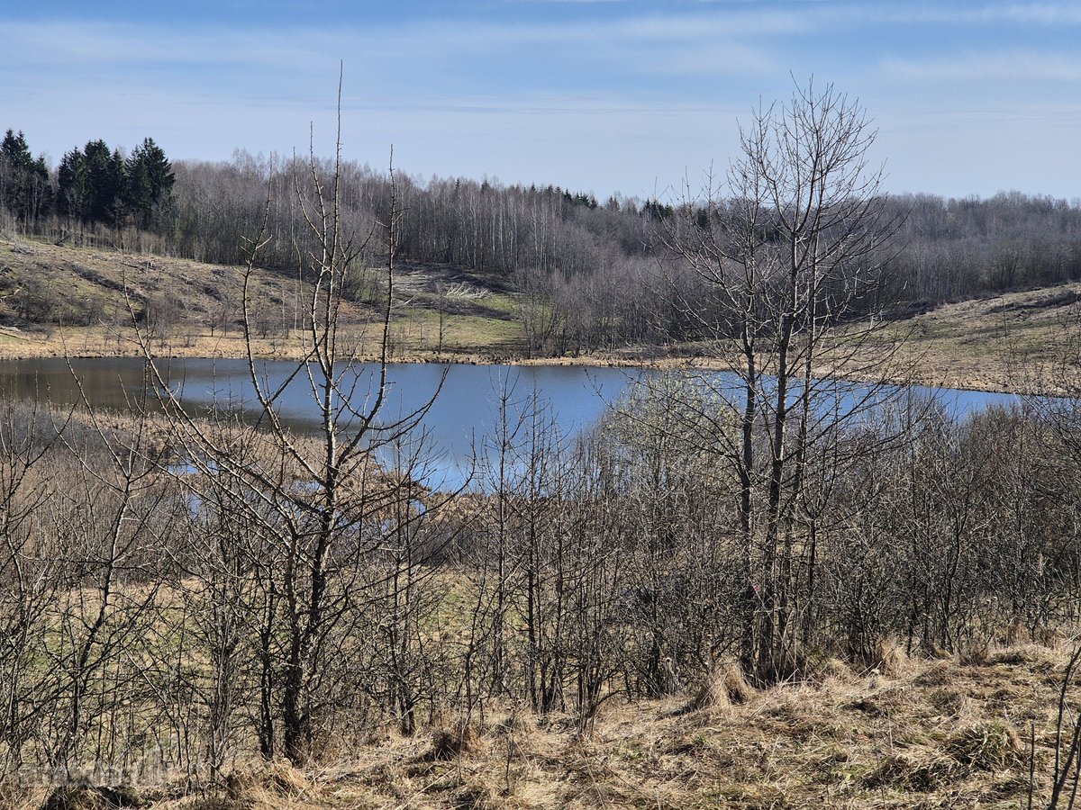 Parduodami išskirtiniai namų valdos ir - nuotraukos Nr. 18