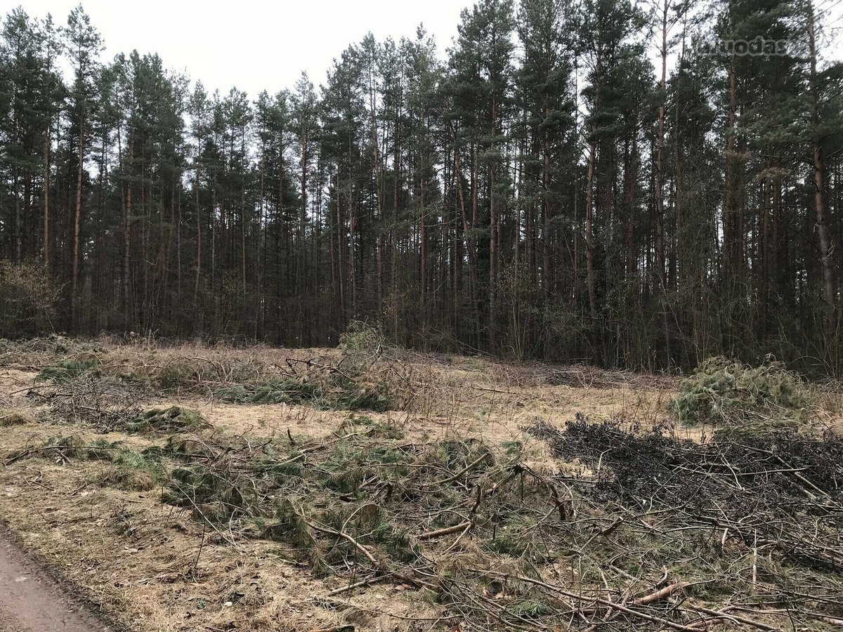 Parduodamas išskirtinis sklypas šalia - nuotraukos Nr. 10