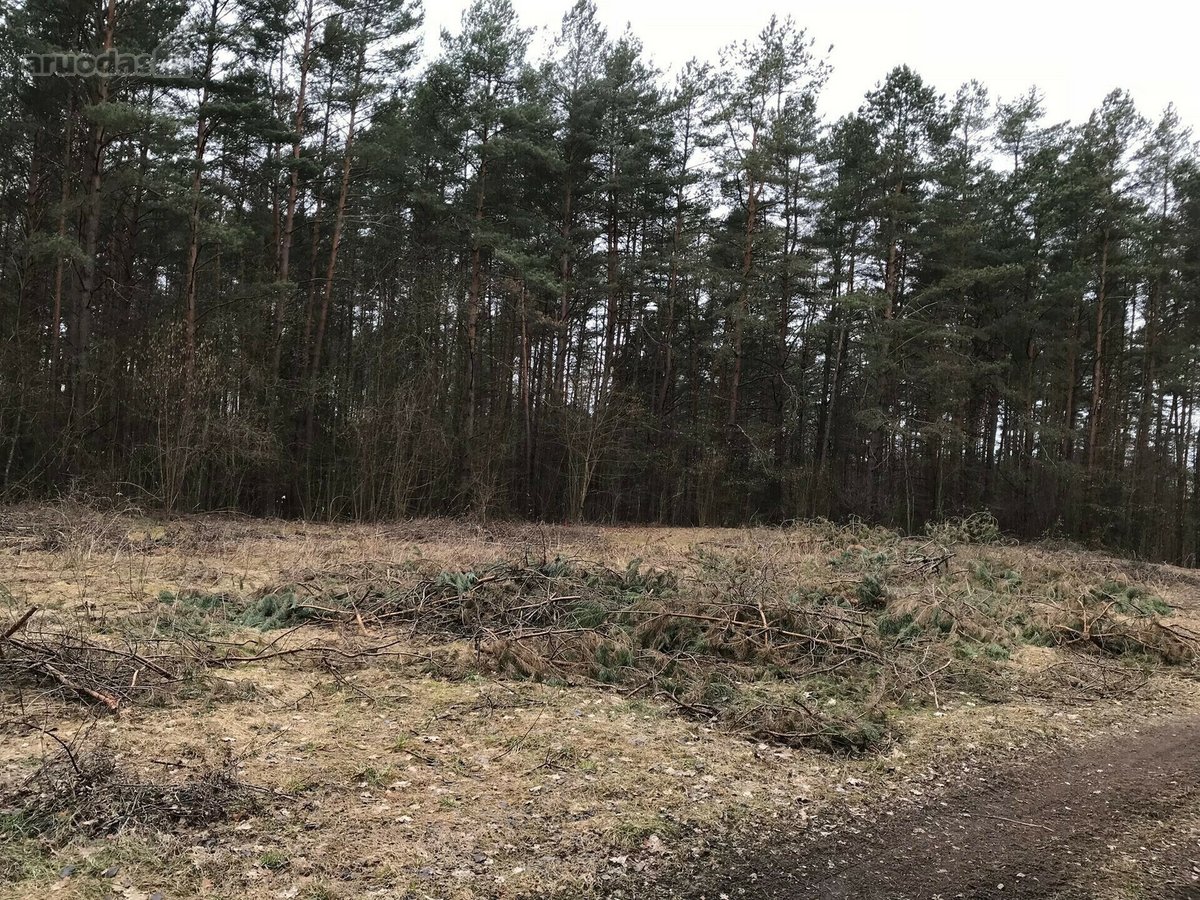 Parduodamas išskirtinis sklypas šalia - nuotraukos Nr. 11