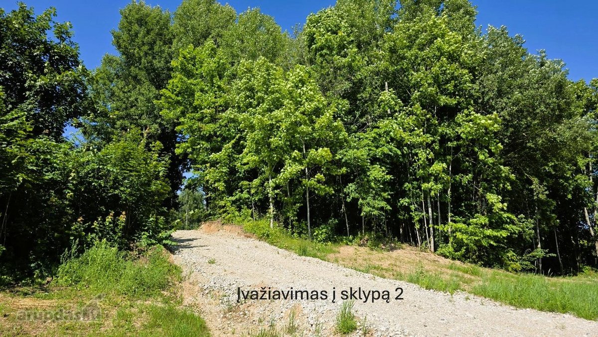 Parduodami 4 Namų Valdos Paskirties Žemės - nuotraukos Nr. 8
