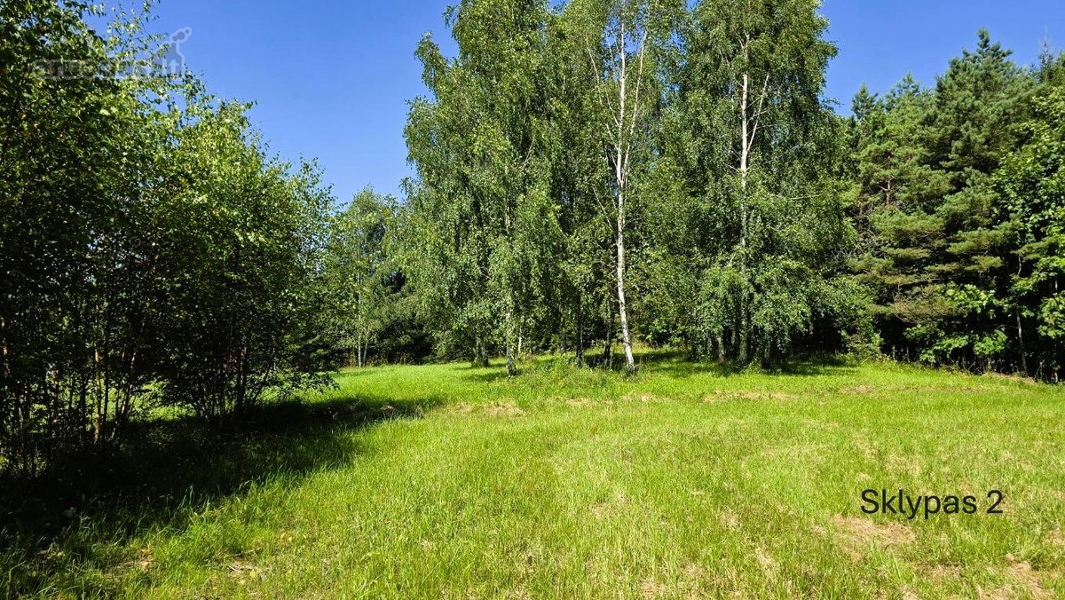 Parduodami 4 Namų Valdos Paskirties Žemės - nuotraukos Nr. 12