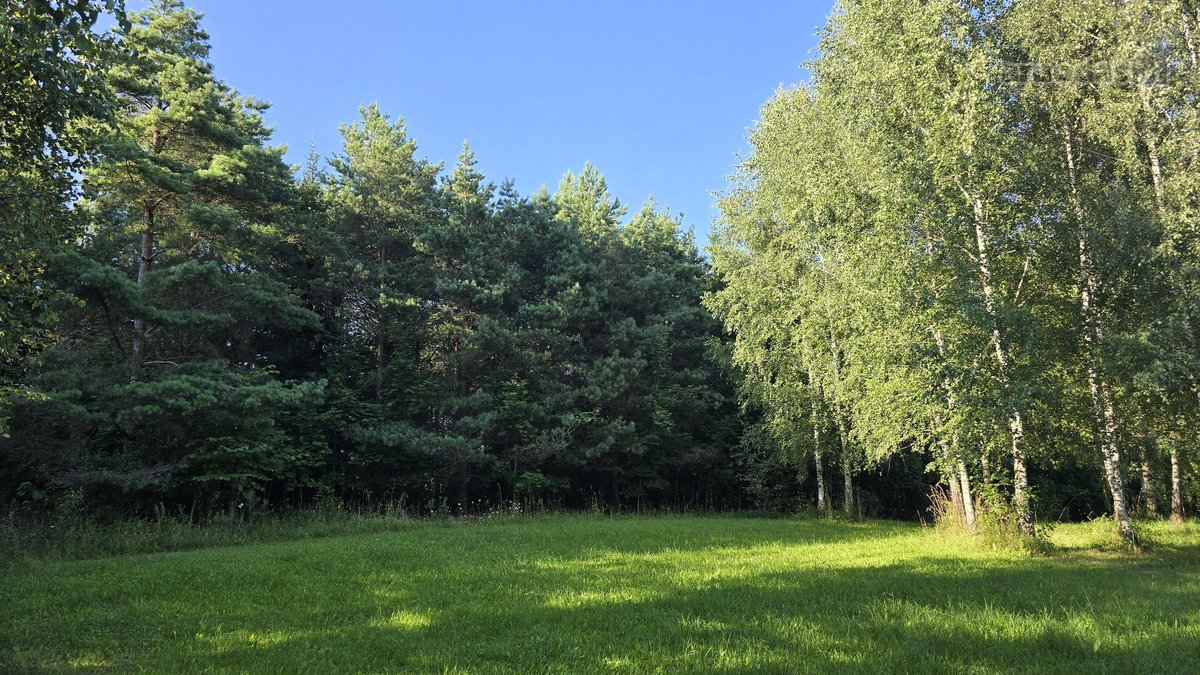 Parduodami 4 Namų Valdos Paskirties Žemės - nuotraukos Nr. 14