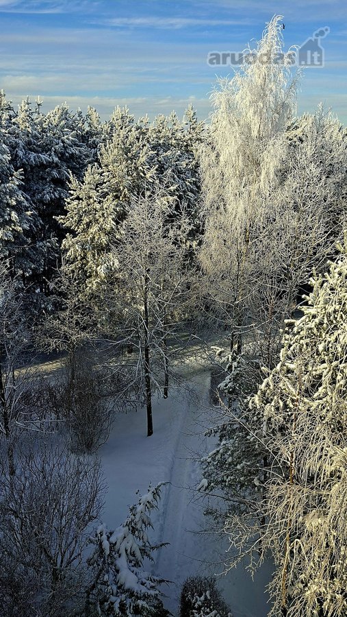 Šviesus 3 kambarių butas ramioje vietoje, - nuotraukos Nr. 10
