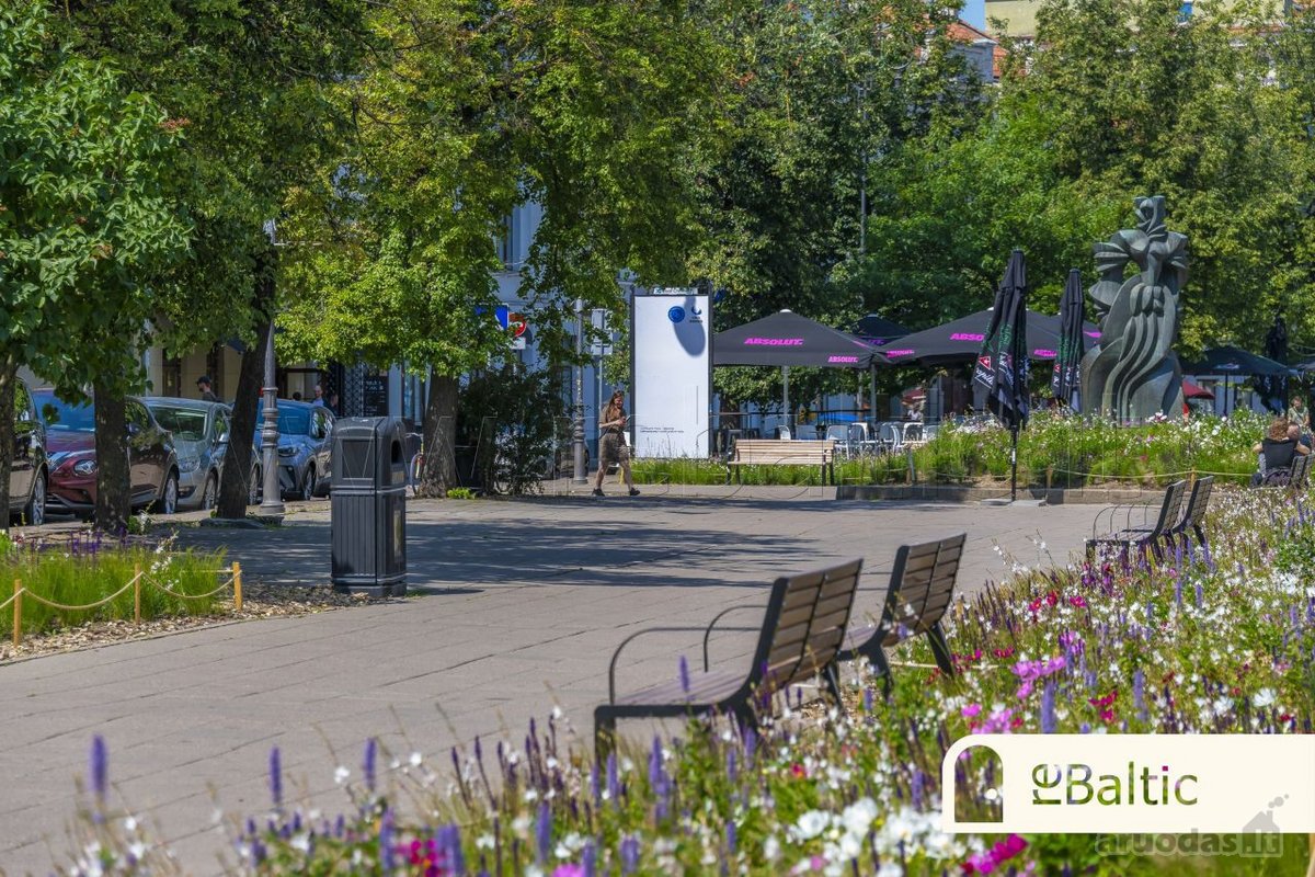 Prestižiniai apartamentai net 4.8 metrų - nuotraukos Nr. 30