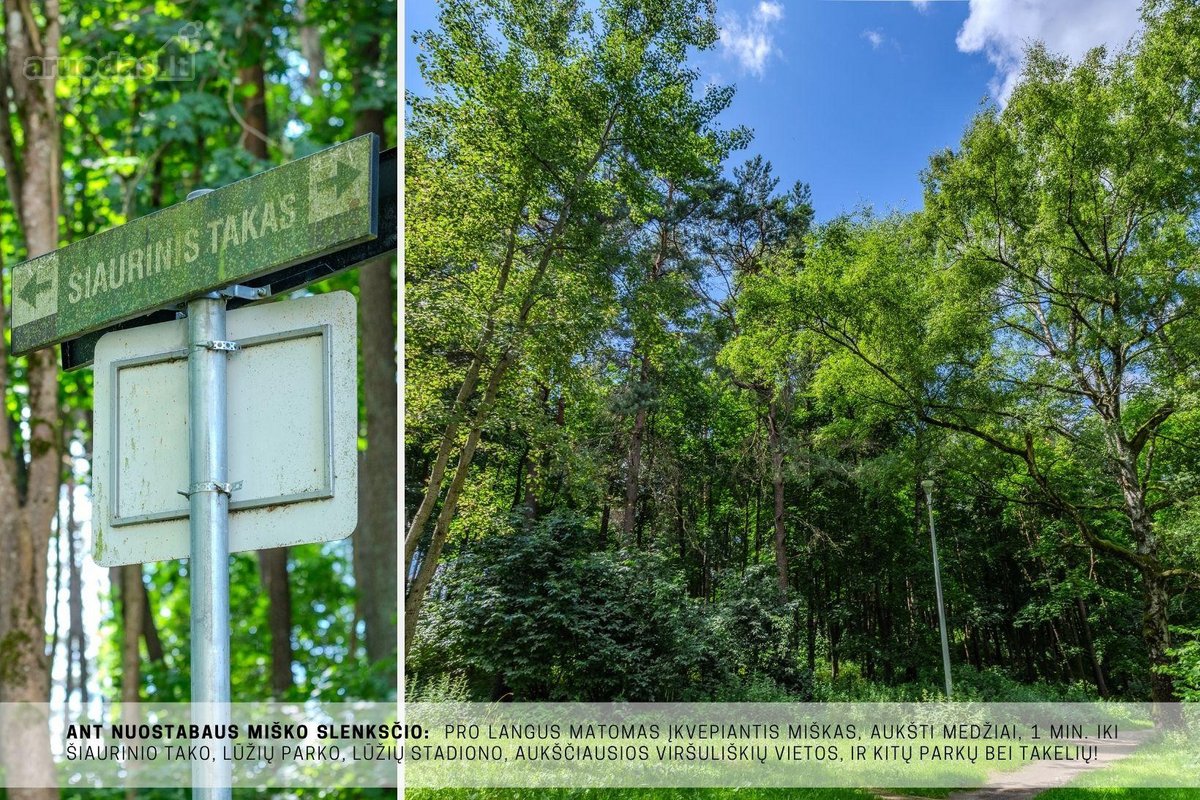 Parduodamas erdvus ir šviesus 2 kambarių - nuotraukos Nr. 35