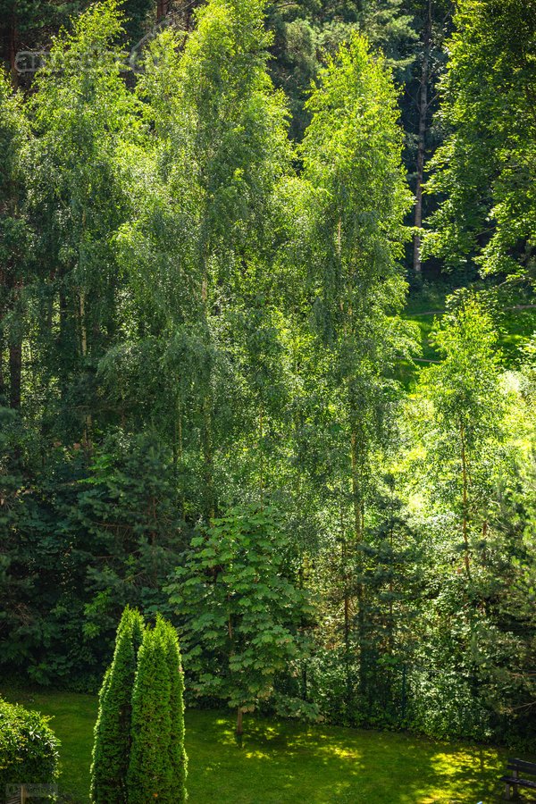 Parduodamas erdvus ir šviesus 2 kambarių - nuotraukos Nr. 24