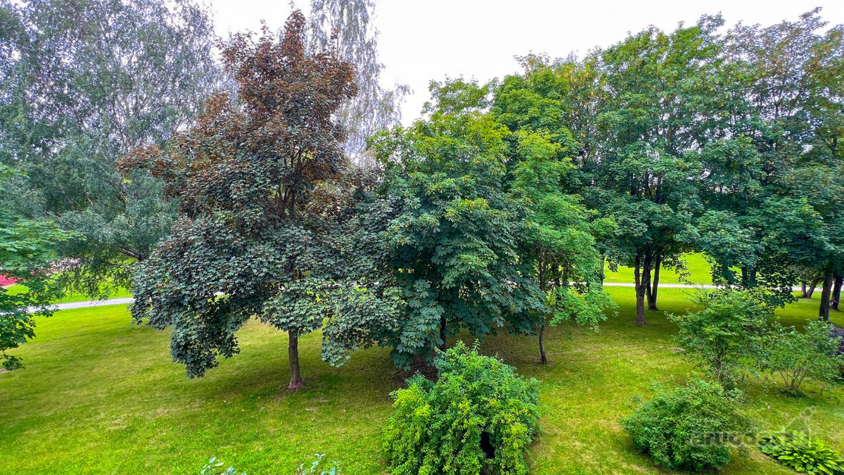 Naujas Dveijų Kambarių Buto Pasiūlymas - nuotraukos Nr. 6