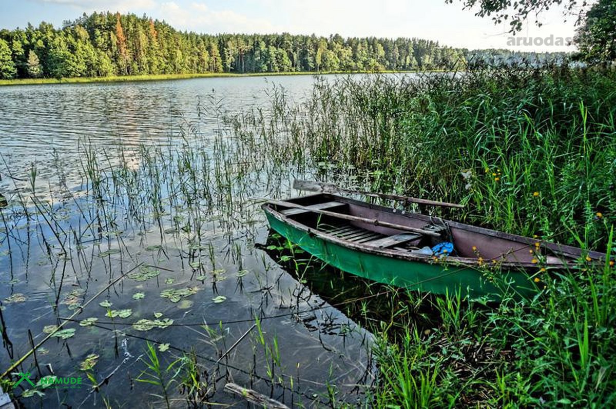 Vaizdingoje vietoje, ant Zaduojo ežero kranto - nuotraukos Nr. 25