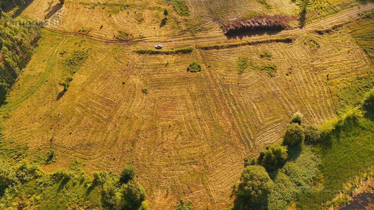 Parduodamas 56,75 Aro Sklypas, Su Tvenkinio - nuotraukos Nr. 4
