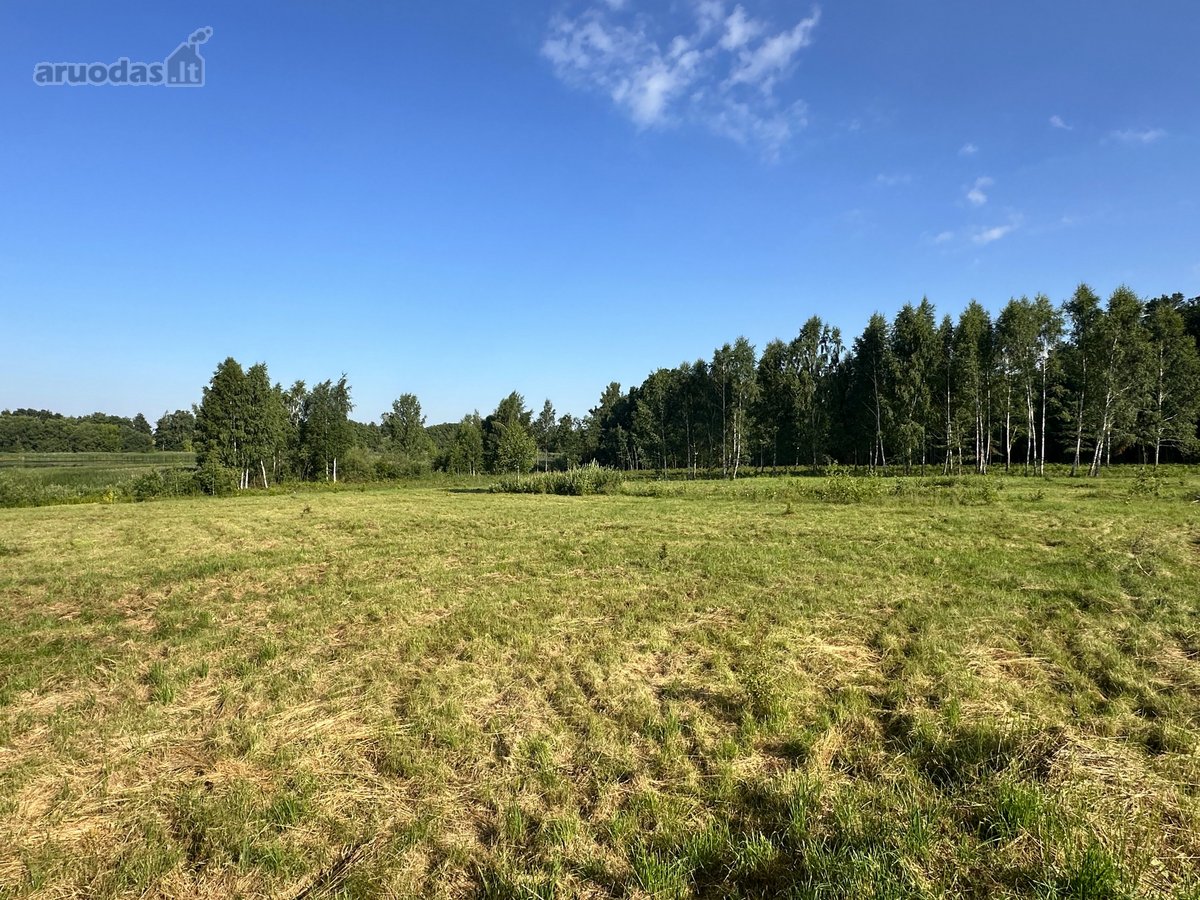 Parduodamas 56,75 Aro Sklypas, Su Tvenkinio - nuotraukos Nr. 14