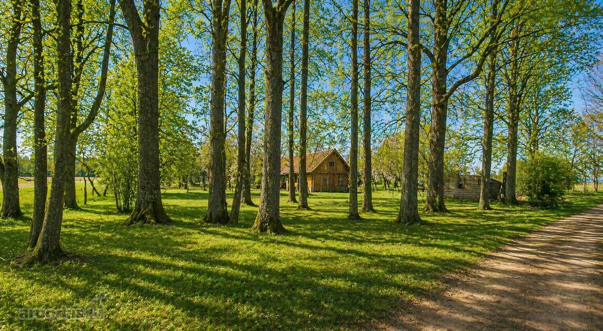 Parduodama Išskirtinė Sodyba Su 1,25 Ha Namų - nuotraukos Nr. 6