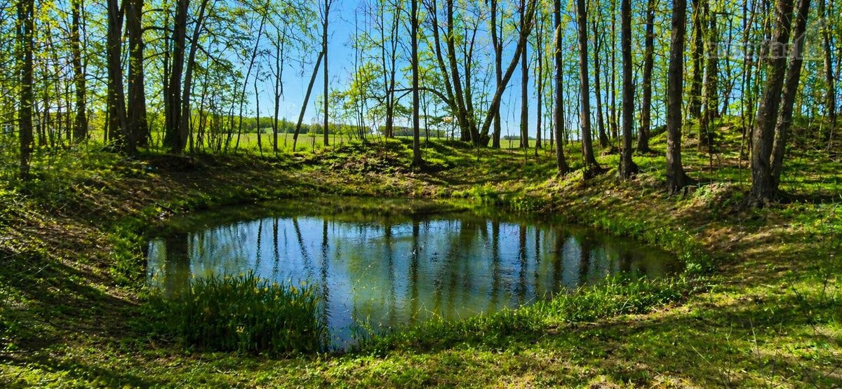Parduodama Išskirtinė Sodyba Su 1,25 Ha Namų - nuotraukos Nr. 9