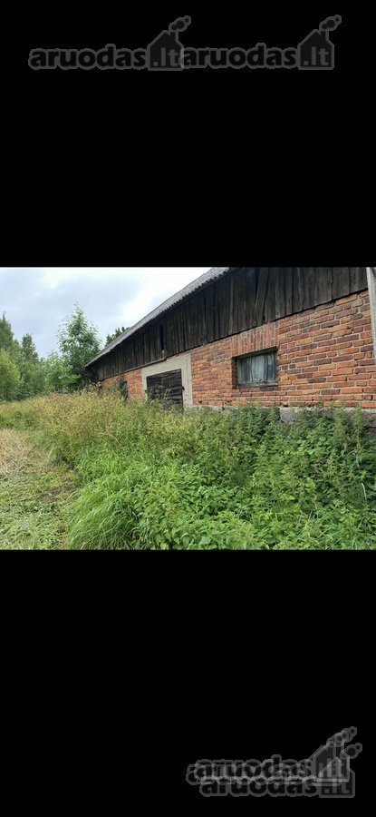 Išskirtinė sodyba gamtos prieglobstyje - nuotraukos Nr. 7
