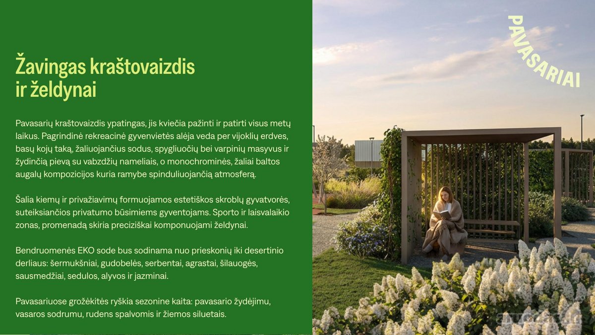 Pavasariai - Naujos Kartos Vilniaus - nuotraukos Nr. 30