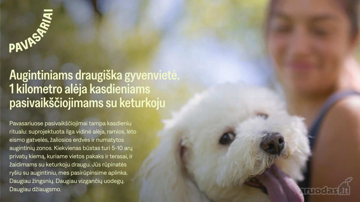 Pavasariai - Naujos Kartos Vilniaus - nuotraukos Nr. 35
