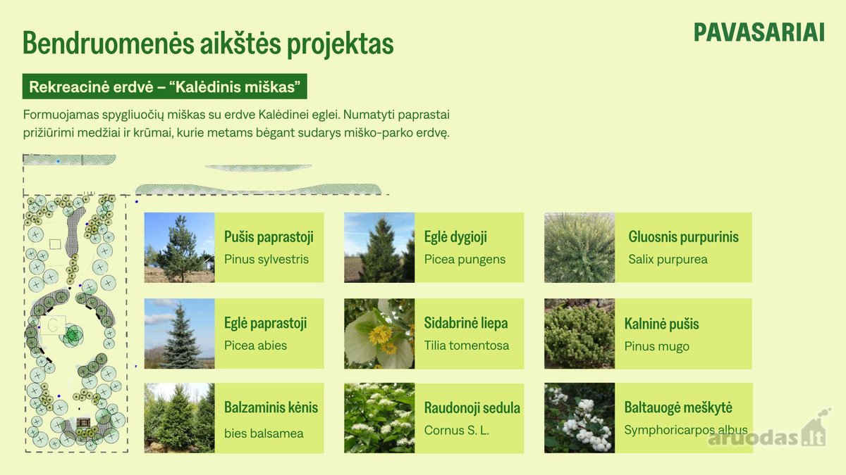 Pavasariai - Naujos Kartos Vilniaus - nuotraukos Nr. 39