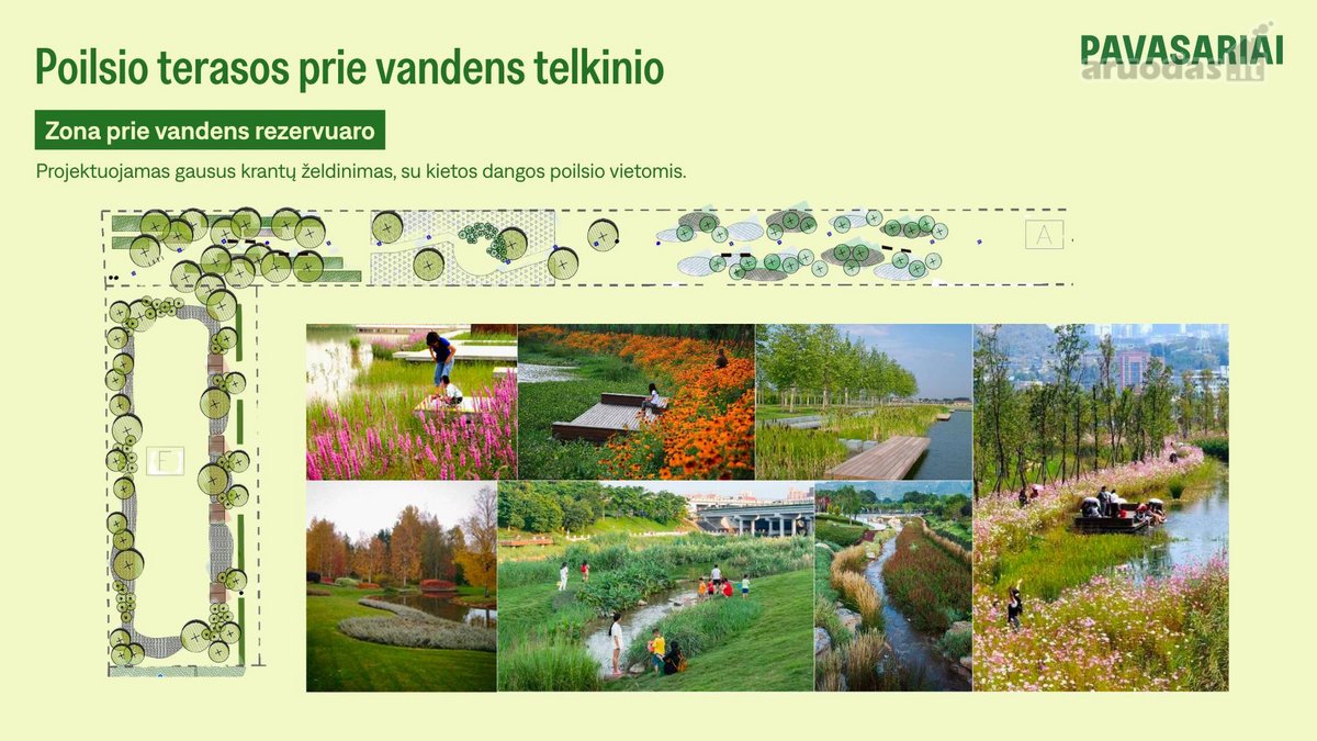 Pavasariai - Naujos Kartos Vilniaus - nuotraukos Nr. 40