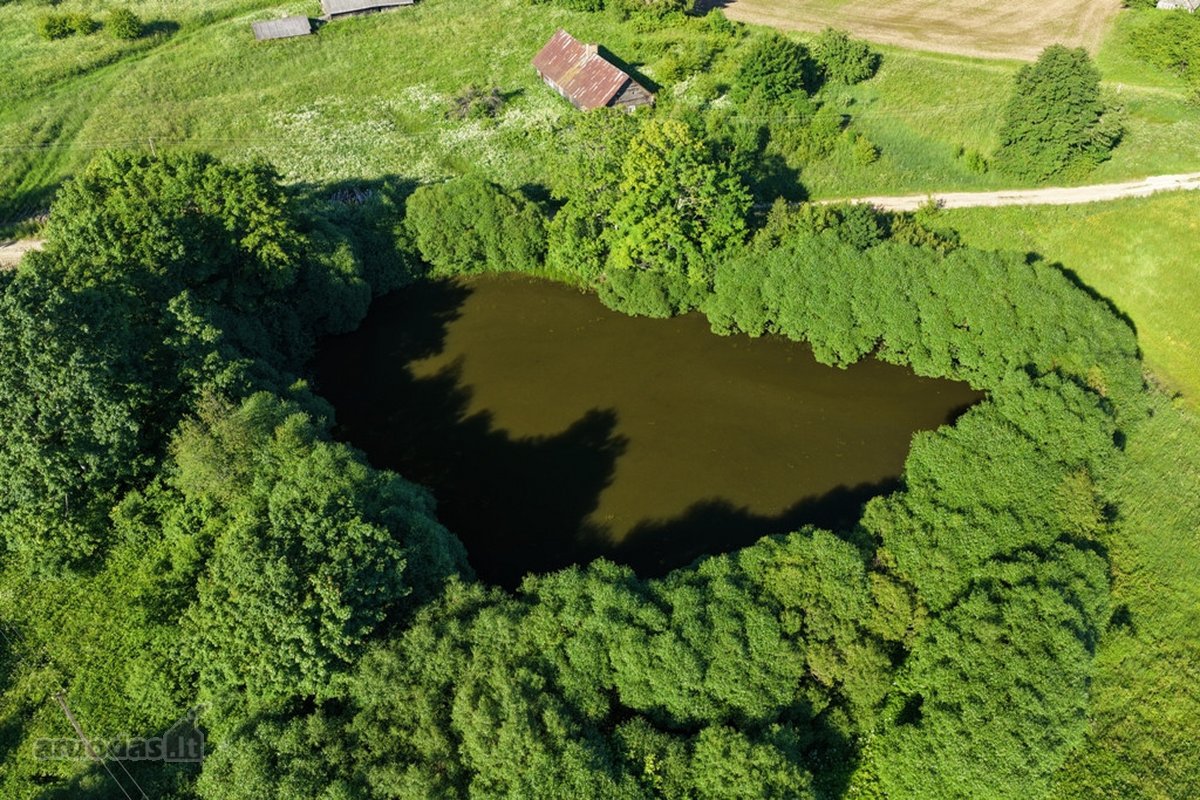 Parduodamas romantiškasis, gražią praeitį - nuotraukos Nr. 14