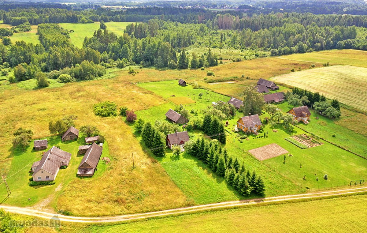 Tvarkinga, Jauki Sodyba Kalvų Ir Miškų - nuotraukos Nr. 3