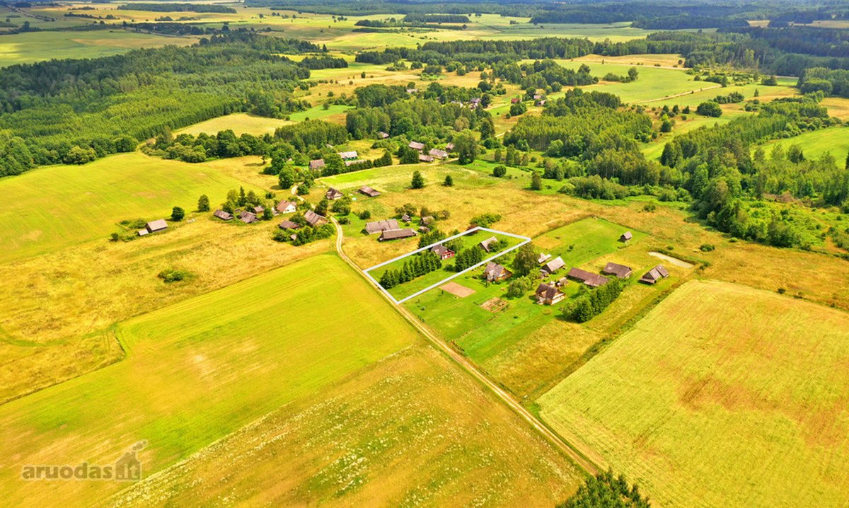Tvarkinga, Jauki Sodyba Kalvų Ir Miškų - nuotraukos Nr. 4