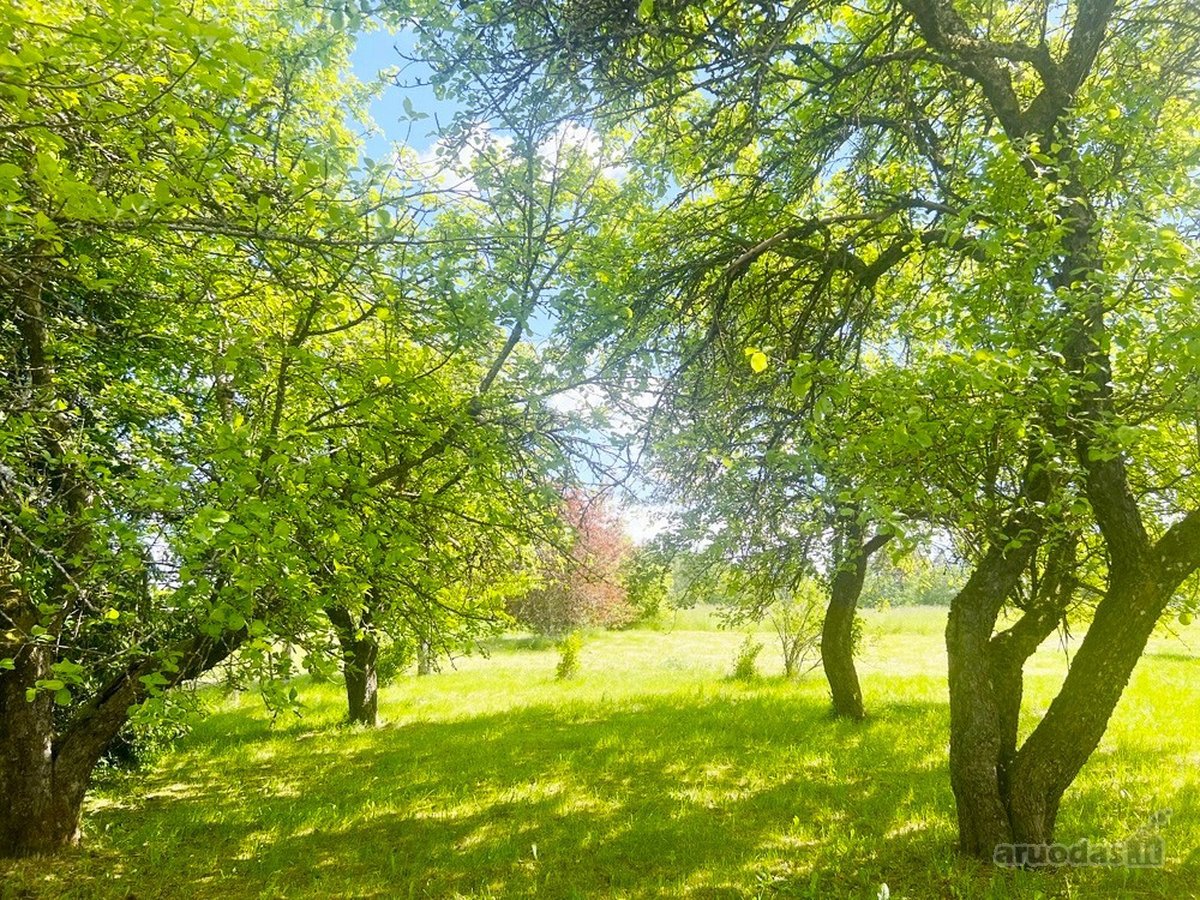 Tvarkinga, Jauki Sodyba Kalvų Ir Miškų - nuotraukos Nr. 22