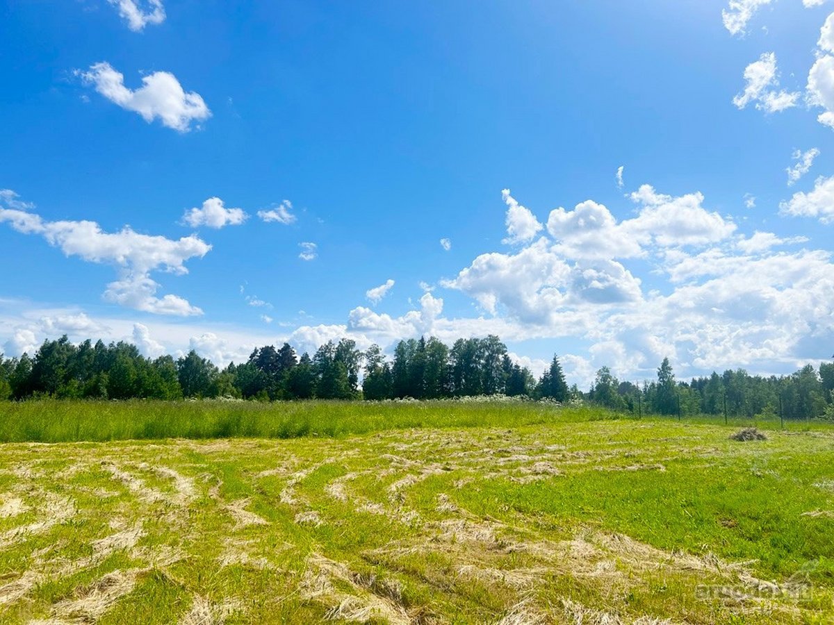Tvarkinga, Jauki Sodyba Kalvų Ir Miškų - nuotraukos Nr. 23