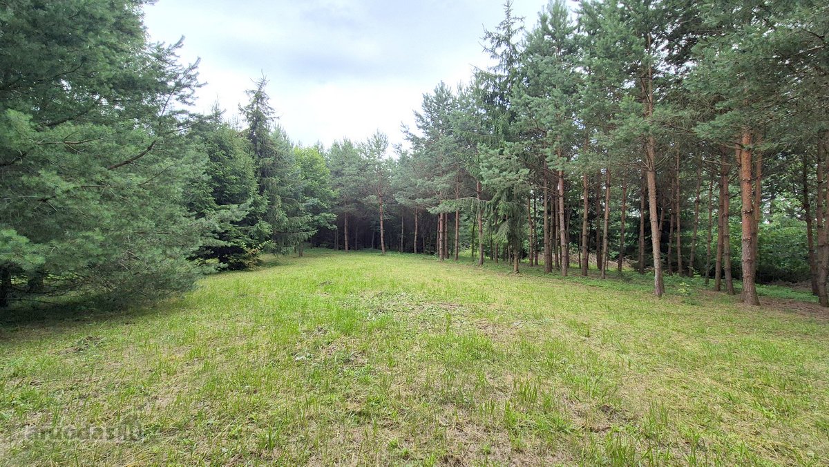 Ieškantiems Ramybės, Gamtos Ir Privatumo – - nuotraukos Nr. 12